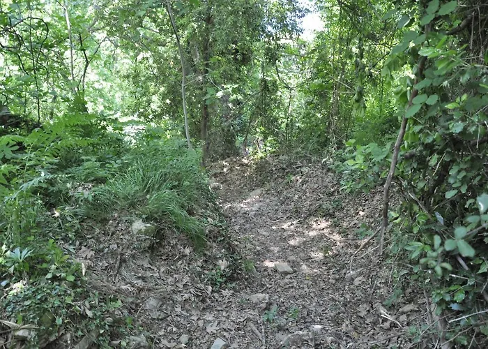 Melissa Цагарада